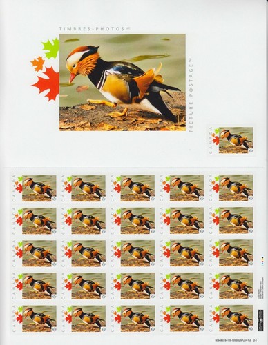 Mandarin duck foglio postale - duck,