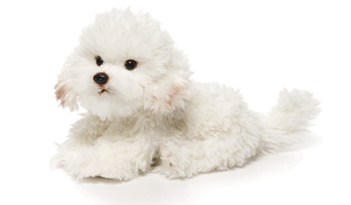 Bichon frise peluche cucciolo - frise,