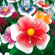 Ovidio Confetti Sulmona