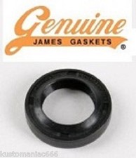 Paraolio leva cambio Harley