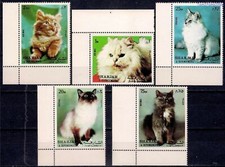 Sharjah 1972 Gatti Birmani Persiani Animali Domestici Animali Gatti 5V Set Mnh 1