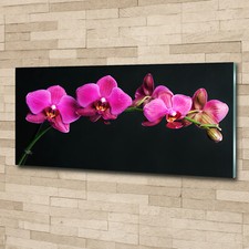 Quadro immagine arte da parete
