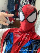 Ultimate Spider-Man Costume
