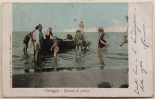 Cartolina Viareggio pescatori sciabica tradizione Lucca paesaggistica T1
