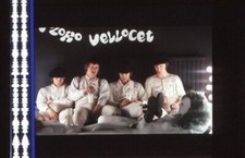 Pellicola Film Arancia