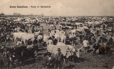 Viterbo Civita Castellana