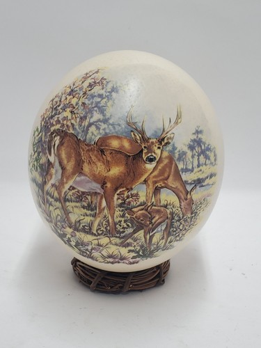 Real ostrich egg white tail - egg,