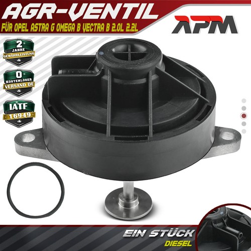 Valvola egr guarnizione - egr, per