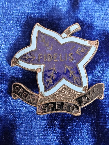 Student badge from virgo - badge,