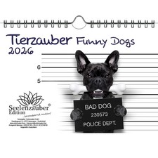Tierzauber Funny Dogs DIN A5 Kalender für 2026 Hunde Welpen - Seelenzauber