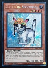 Gatto soccorso rara - soccorso, segreta
