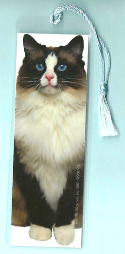 Segnalibro gatto ragdoll - segnalibro,