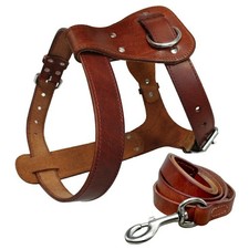 Imbracatura e guinzaglio per