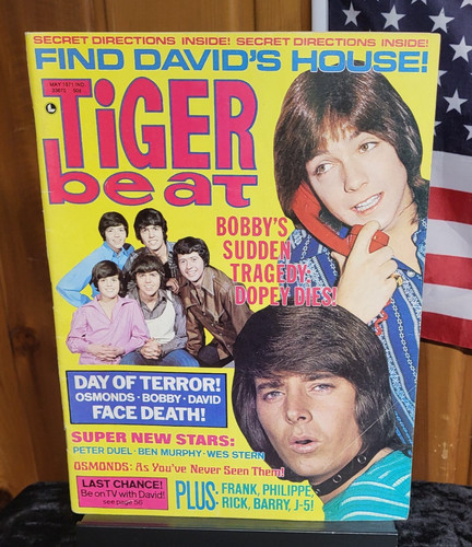 Tiger beat magazine may - tiger,