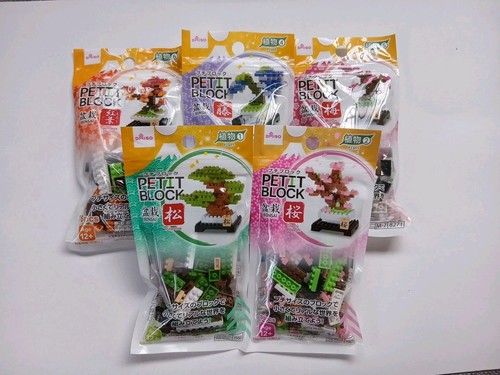 Daiso petit block - petit, bonsai