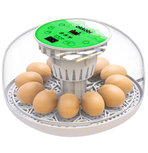 Okkoci m12 incubatrice - okkoci, uova