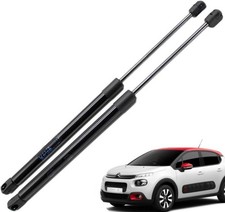 2 MOLLE A GAS PISTONCINI