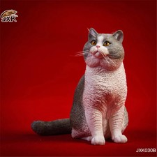Figura gatto britannico a pelo