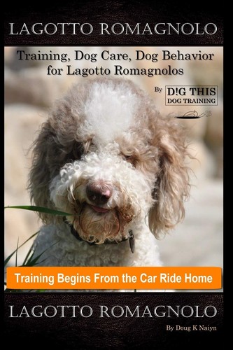 Lagotto romagnolo training - lagotto,