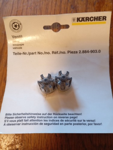 Set valvole kärcher - valvole, (2
