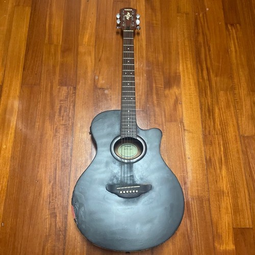 Chitarra elettrica acustica