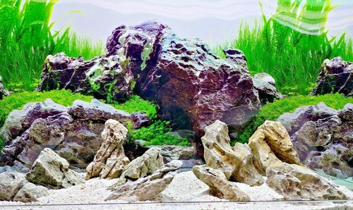 Seiryu ryuoh stone - ryuoh,
