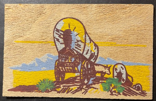 Yucca wood real - wood,