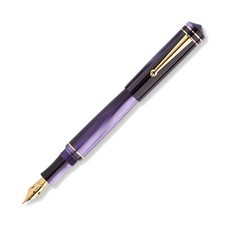 Penna stilografica Delta Write