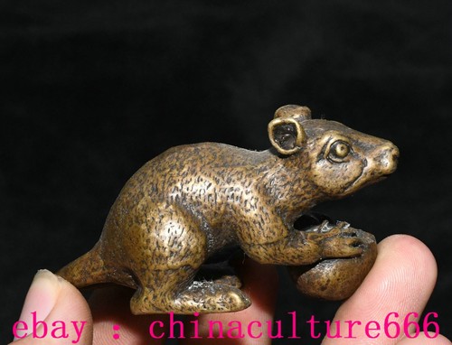 Statua animale ratto topo