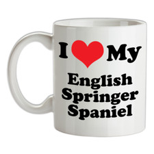 Love springer spaniel - love, my