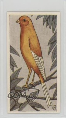 1960 barratt cage - barratt, aviary
