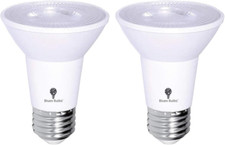 2 Pack PAR20 Outdoor LED Flood