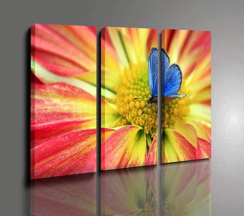 Quadri moderni fiori - fiori, farfalla