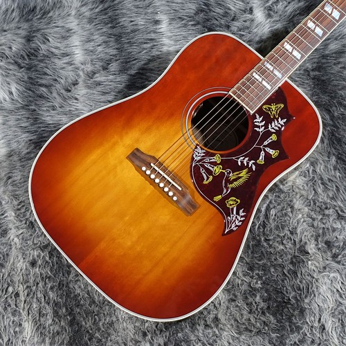 Gibson colibrì scoppio - colibrì,