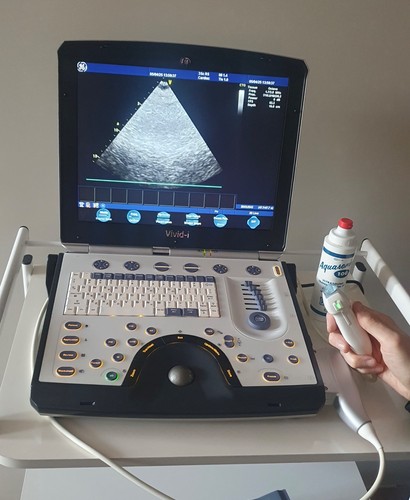 Vivid ultrasuoni cardiaci - i,