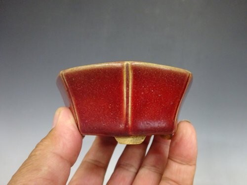 Vaso bonsai giapponese - , seisho