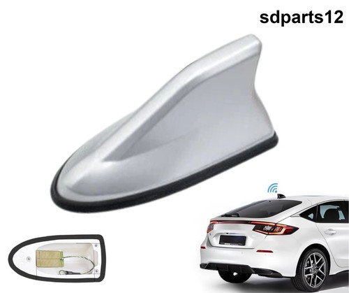 Antenna pinna squalo - pinna,