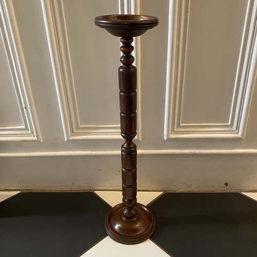 Lampada pianta piedistallo