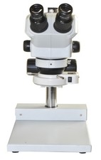 Microscopio stereo