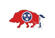 Adesivo vinile bandiera stato