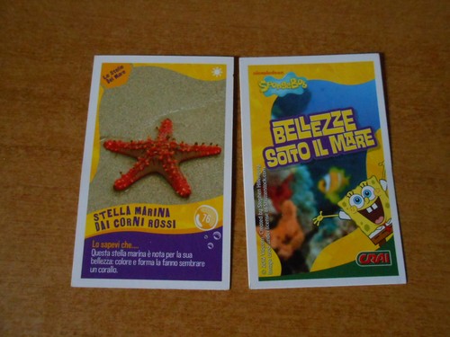Figurina card spongebob - card,