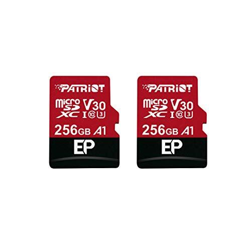 Patriot memory 256gb v30 - 256gb,