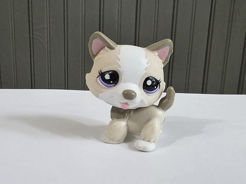 Autentico littlest pet - littlest, shop