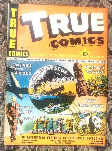 True comics vgo0d fine - comics, #12