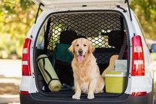 Rete divisoria professionale