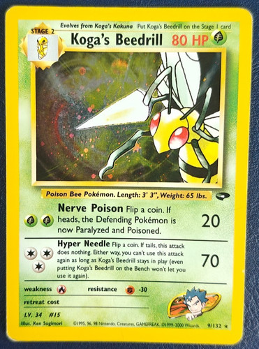 Pokemon koga beedrill - pokemon, holo