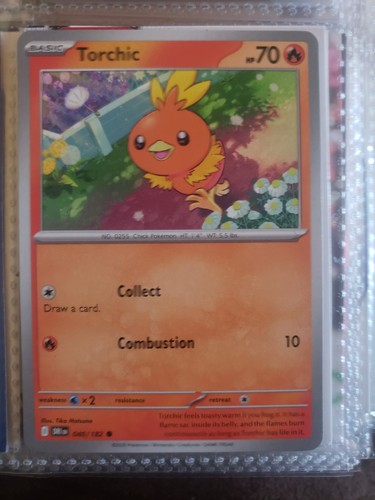 Torchic