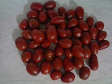 POMODORO DATTERINO NERO, BLACK TOMATO, DOLCE, SWEET, RARISSIMO, RARE