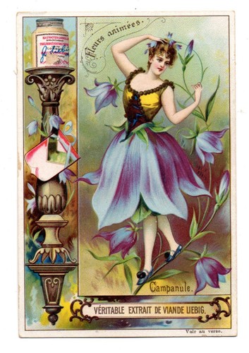 Chromo liebig serie fleurs - liebig,