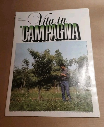 Agricoltura giardino orto - agricoltura,